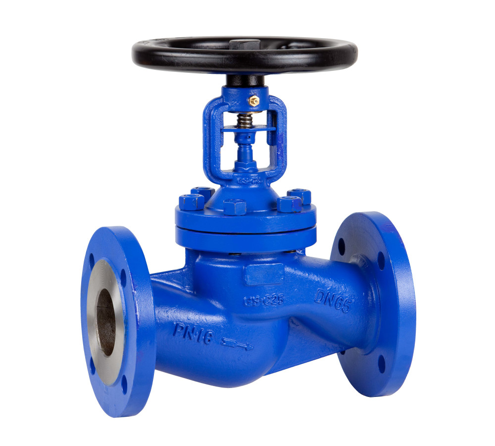 Globe Valves